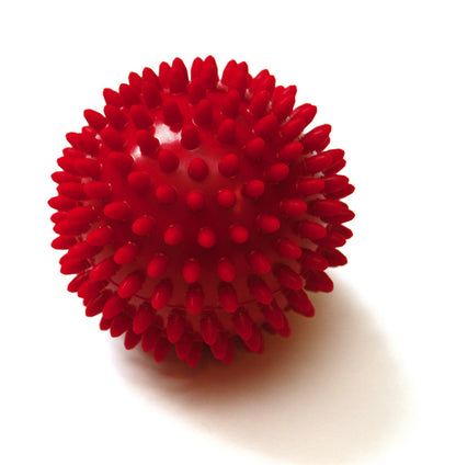 SISSEL® Spiky-Ball Igelball 2er Set